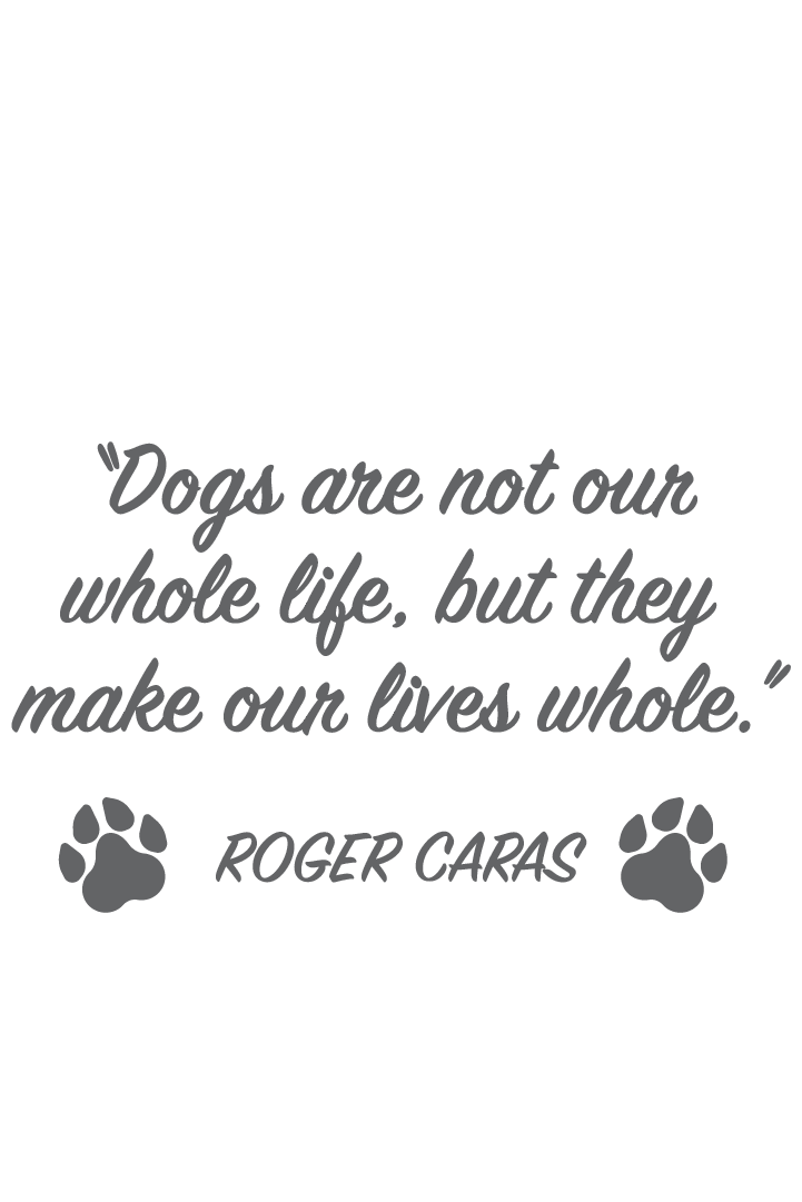 "close up image, Dogs Whole Life Short Sleeve T-Shirt"