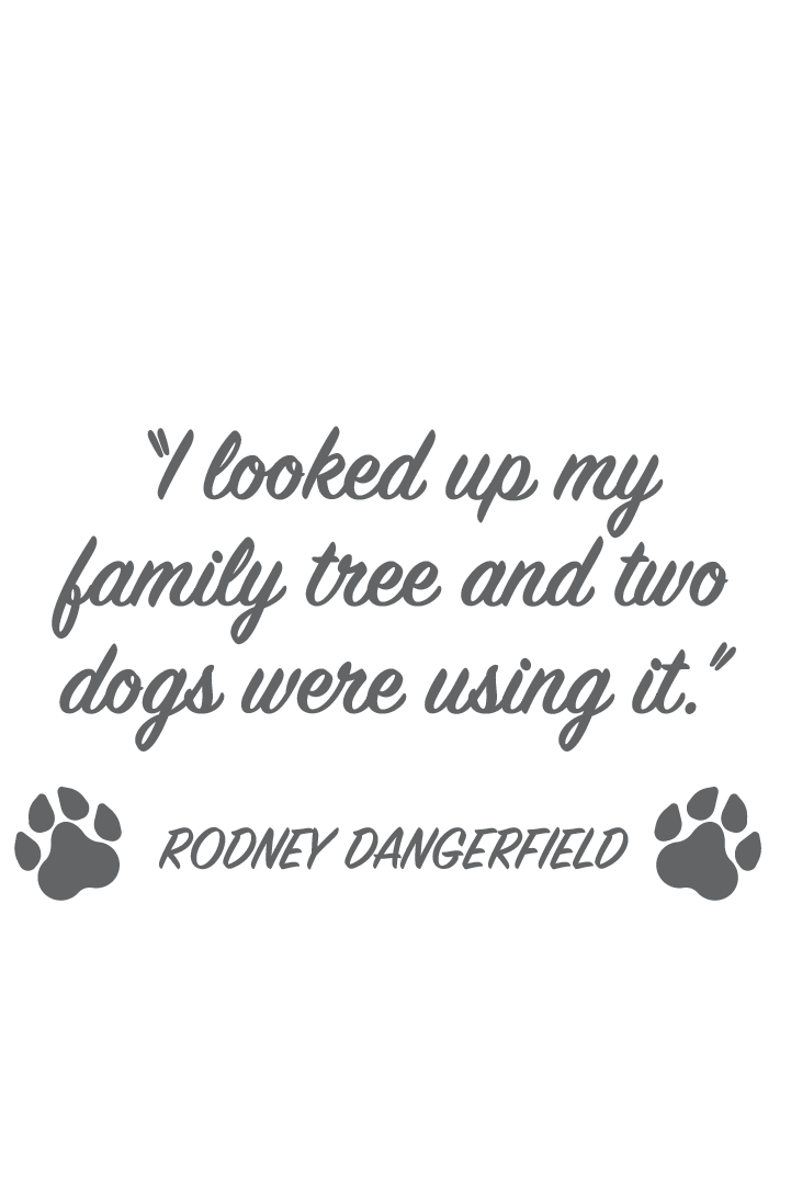 "close up image, Family Tree Short Sleeve T-Shirt"